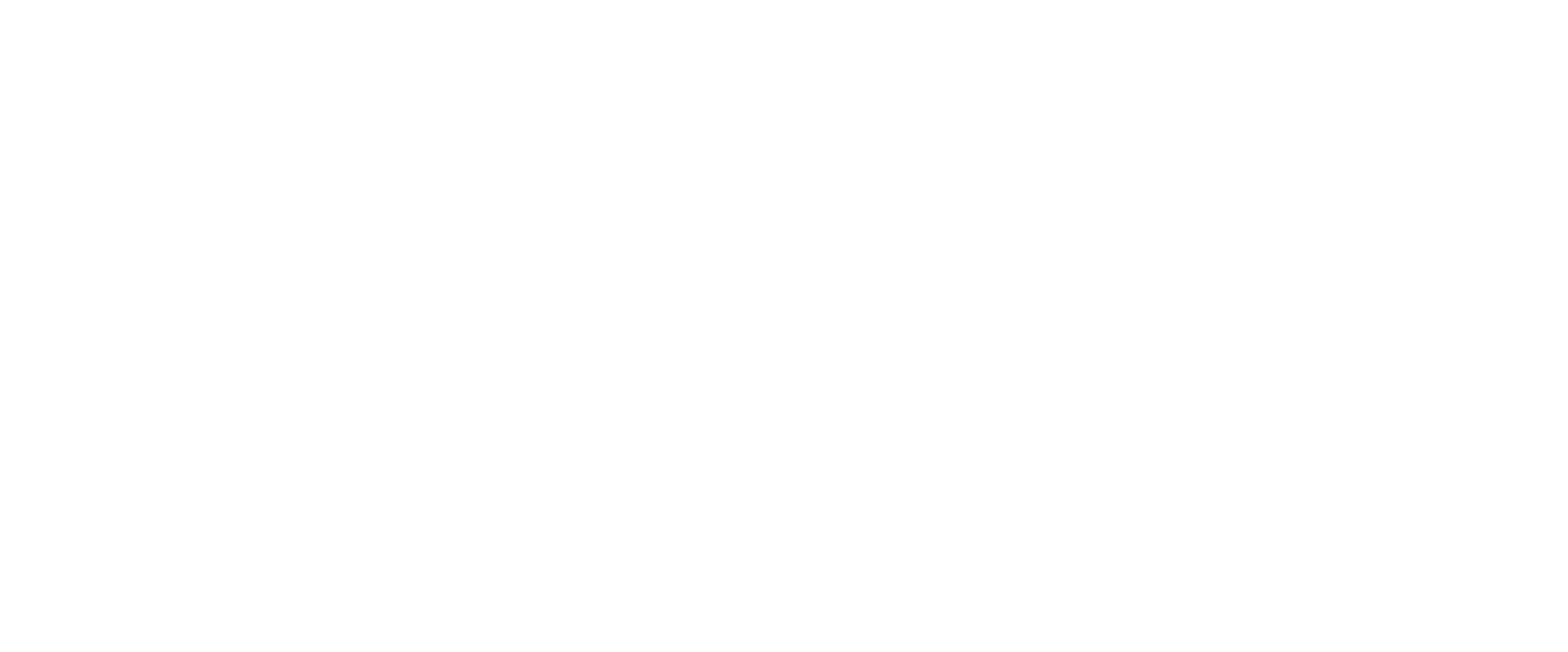 Swift Plumbing Logo